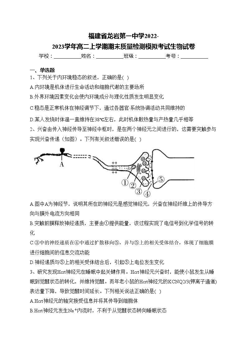 福建省龙岩第一中学2022-2023学年高二上学期期末质量检测模拟考试生物试卷(含答案)01