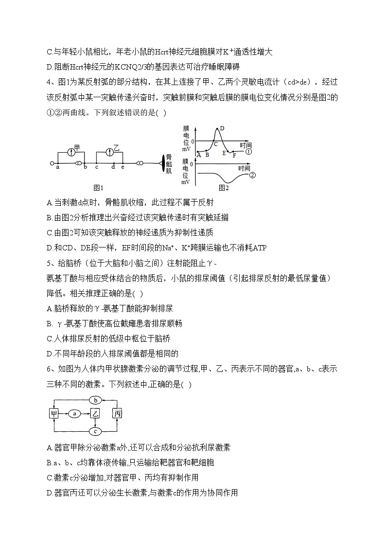 福建省龙岩第一中学2022-2023学年高二上学期期末质量检测模拟考试生物试卷(含答案)02