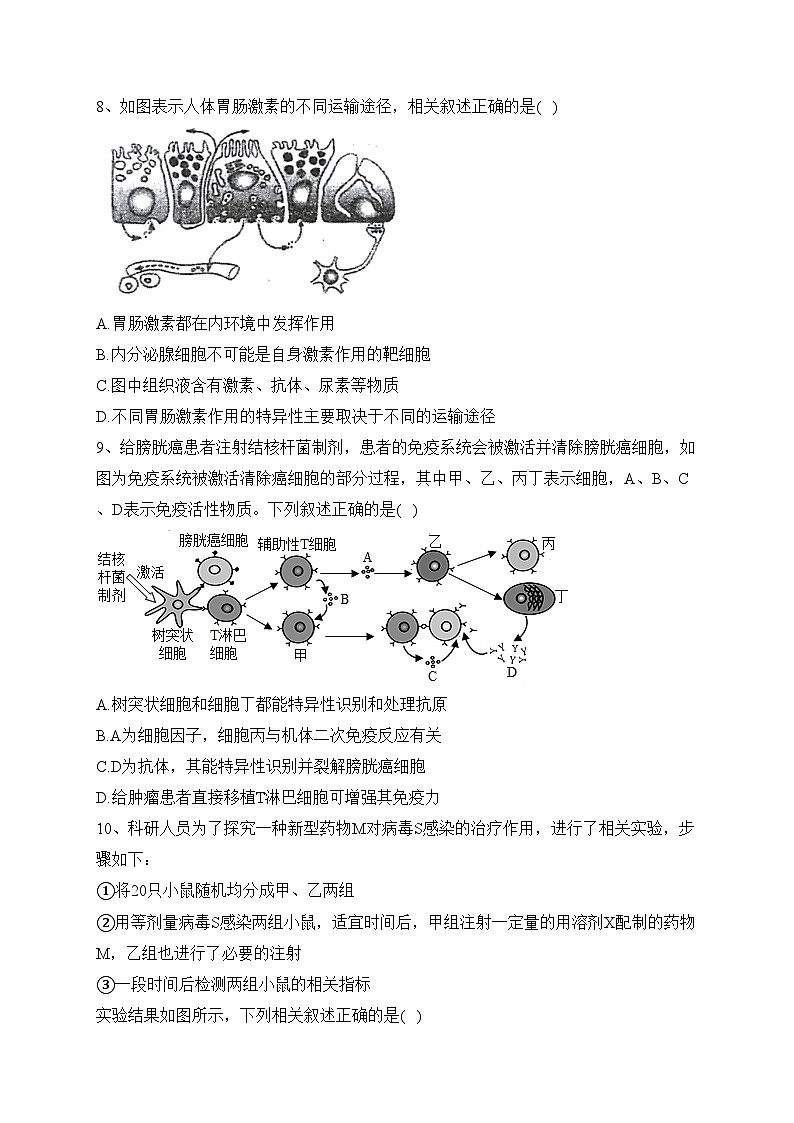 湖北省武汉市部分重点中学2022-2023学年高二上学期期末考试生物试卷(含答案)03