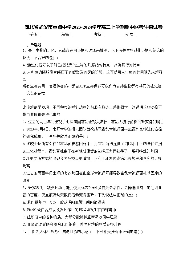 湖北省武汉市重点中学2023-2024学年高二上学期期中联考生物试卷(含答案)01