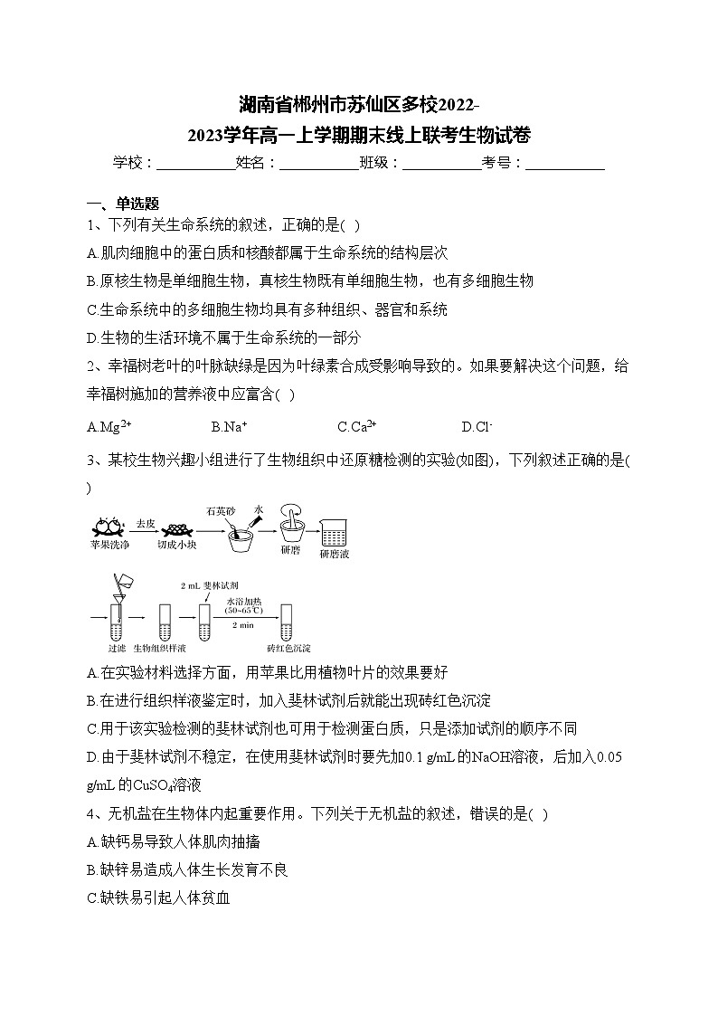 湖南省郴州市苏仙区多校2022-2023学年高一上学期期末线上联考生物试卷(含答案)01