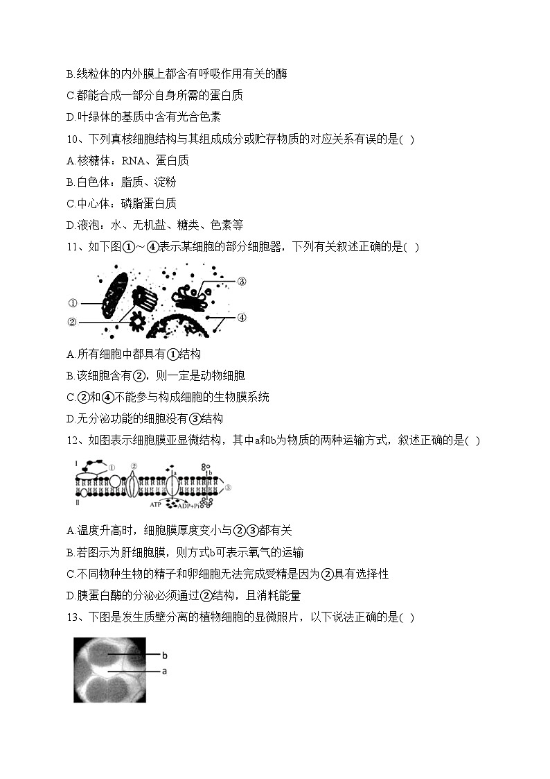 湖南省郴州市苏仙区多校2022-2023学年高一上学期期末线上联考生物试卷(含答案)03