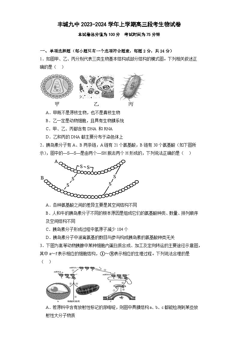 江西省宜春市丰城市第九中学2024届高三上学期12月月考生物01