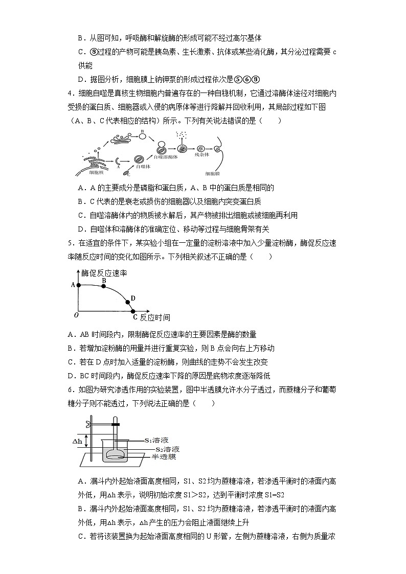 江西省宜春市丰城市第九中学2024届高三上学期12月月考生物02