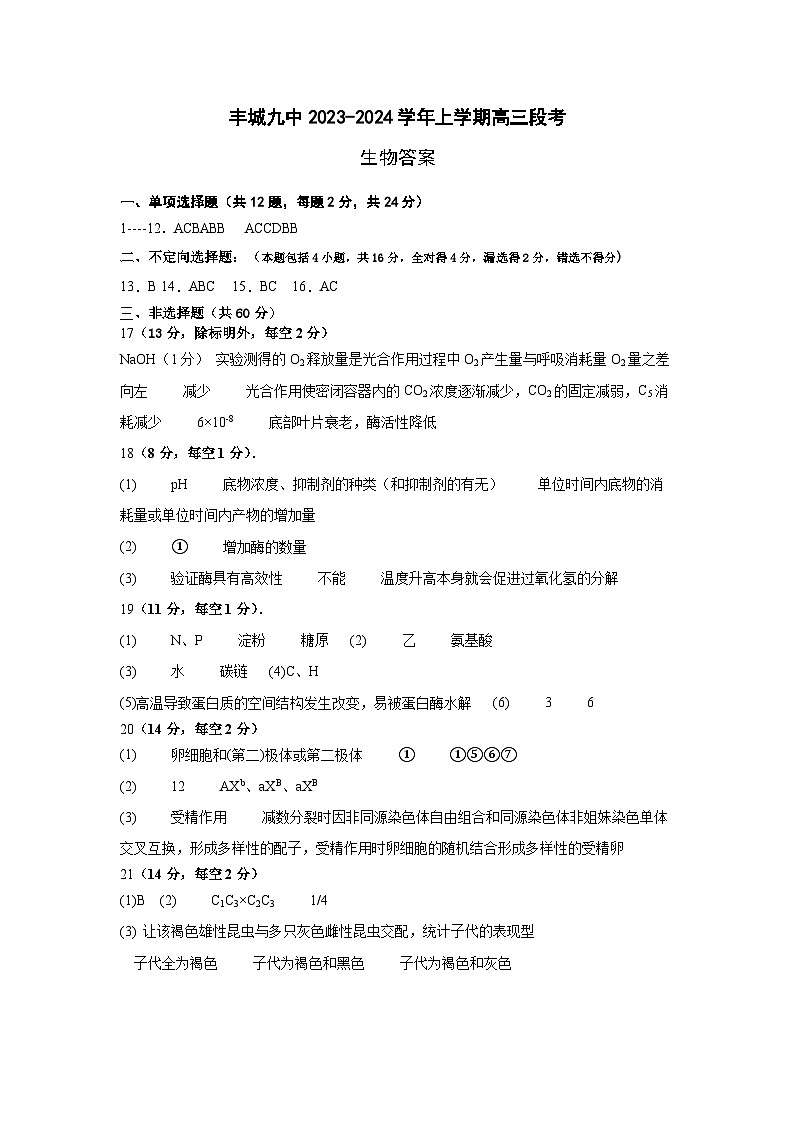 江西省宜春市丰城市第九中学2024届高三上学期12月月考生物01