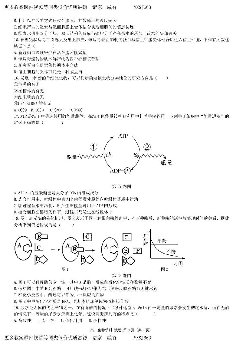浙江省杭州市精诚联考2023-2024学年高一上学期12月月考生物试题03