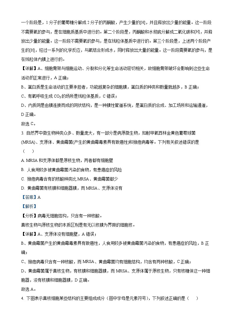 21，福建省福州市福清虞阳中学2023-2024学年高三上学期期中生物试题02
