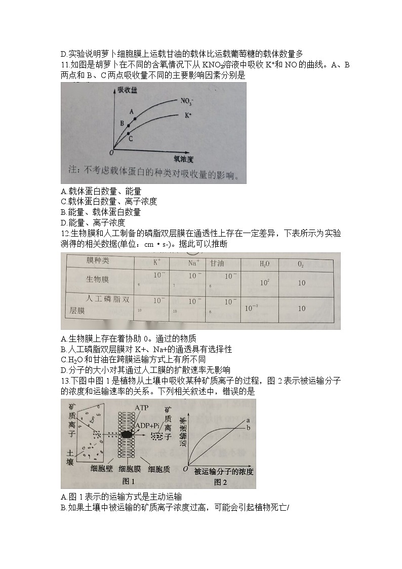 河南省信阳高级中学2023-2024学年高一上学期12月月考生物试题03