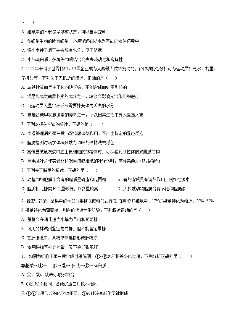 2024绵阳三台中学高一上学期期末适应性考试生物含答案第2页