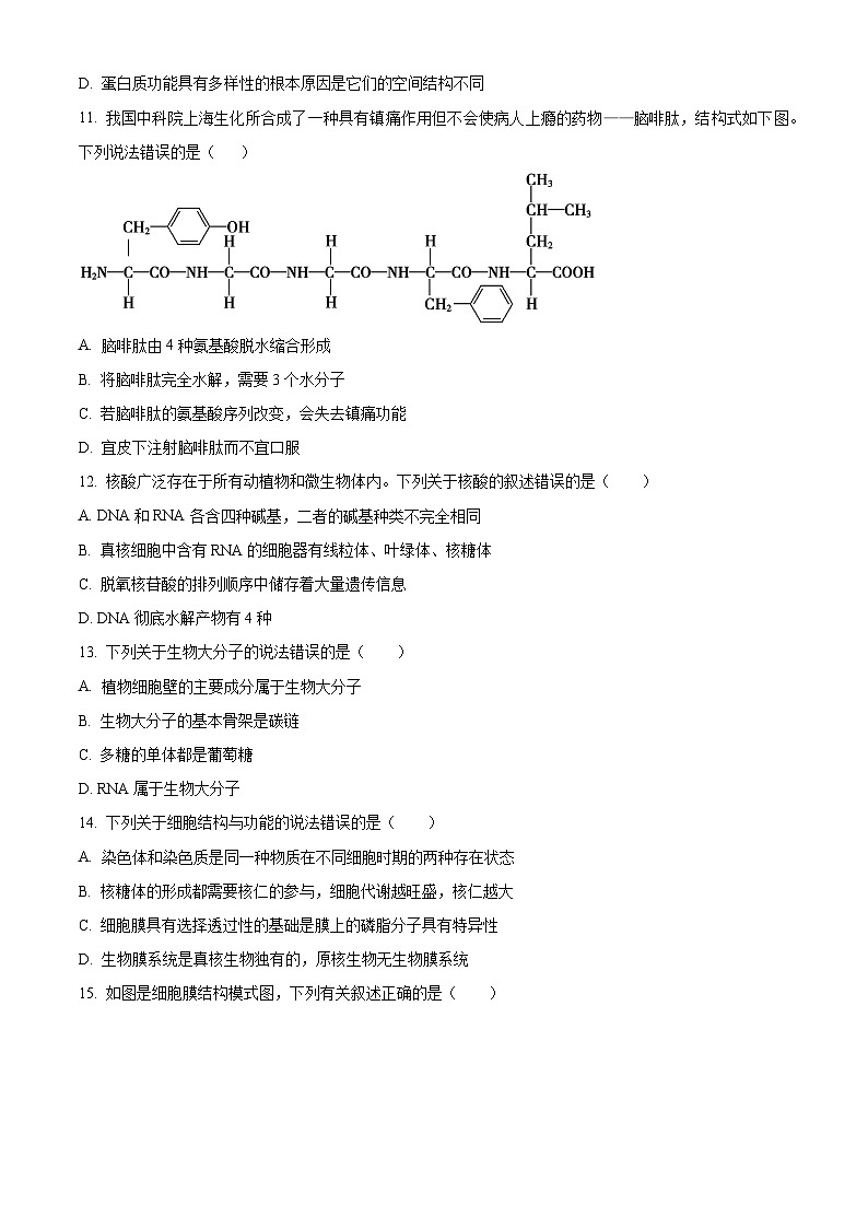 2024绵阳三台中学高一上学期期末适应性考试生物含答案第3页