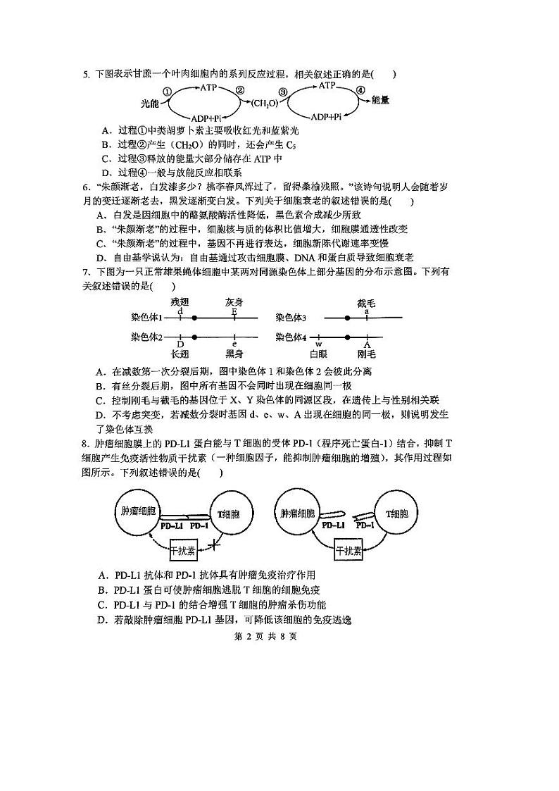 黑龙江三校（一、六、九中学）2023-2024学年高三（上）期末联考生物试卷含答案解析02
