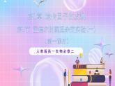 1.1《孟德尔的豌豆杂交实验（一）》（第1课时） 课件 人教版高中生物必修二