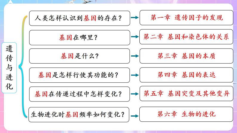 1.1《孟德尔的豌豆杂交实验（一）》（第1课时） 课件 人教版高中生物必修二02