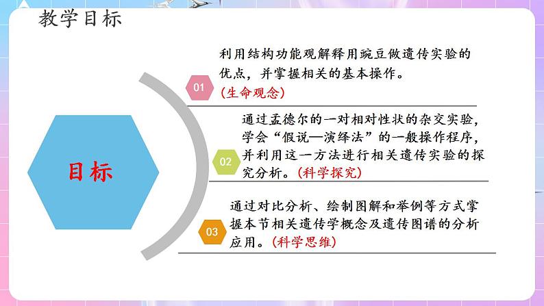 1.1《孟德尔的豌豆杂交实验（一）》（第2课时） 课件 人教版高中生物必修二第2页