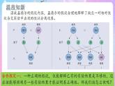 1.1《孟德尔的豌豆杂交实验（一）》（第2课时） 课件 人教版高中生物必修二