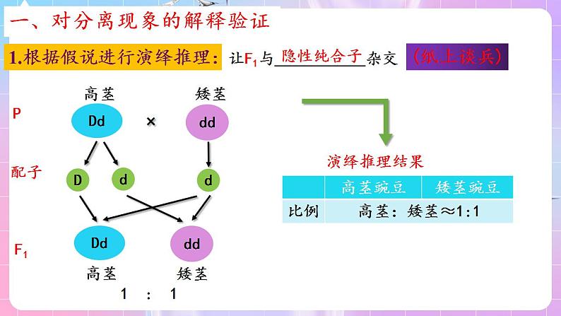 1.1《孟德尔的豌豆杂交实验（一）》（第2课时） 课件 人教版高中生物必修二第4页