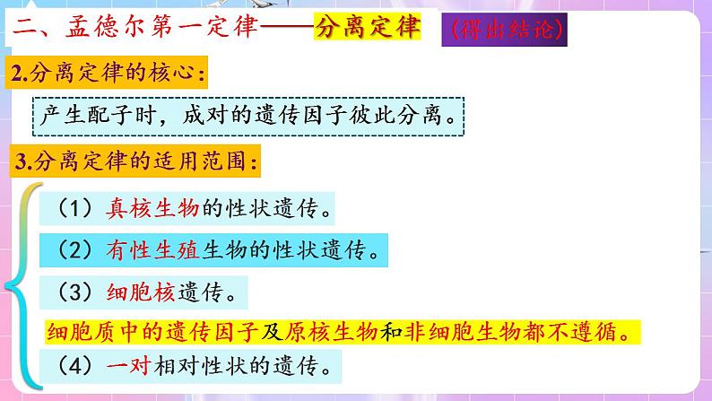 1.1《孟德尔的豌豆杂交实验（一）》（第2课时） 课件 人教版高中生物必修二第8页