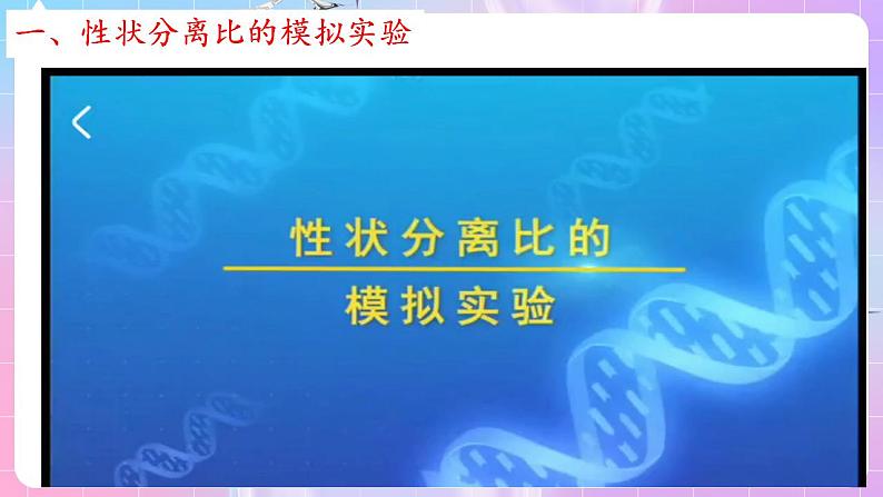 1.1《孟德尔的豌豆杂交实验（一）》（第3课时） 课件 人教版高中生物必修二03