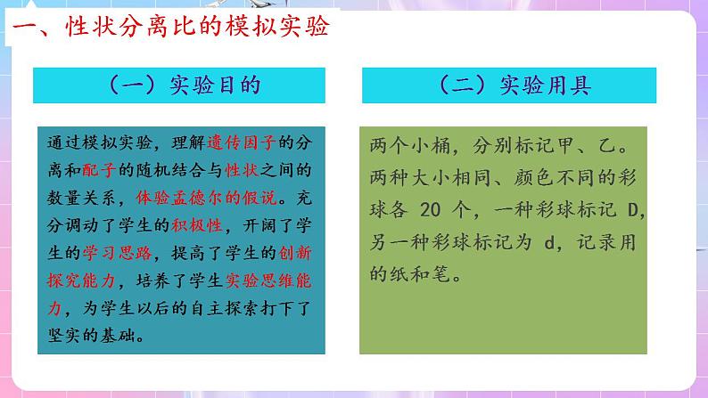 1.1《孟德尔的豌豆杂交实验（一）》（第3课时） 课件 人教版高中生物必修二05