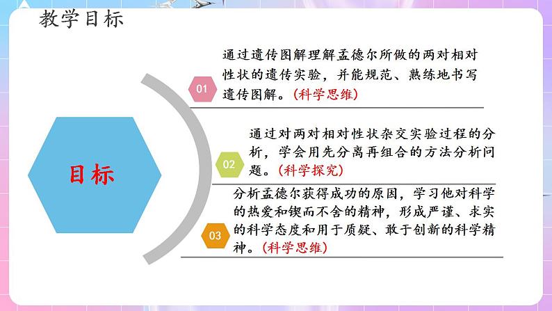 1.2《孟德尔的豌豆杂交实验（二）》（第1课时） 课件 人教版高中生物必修二第2页