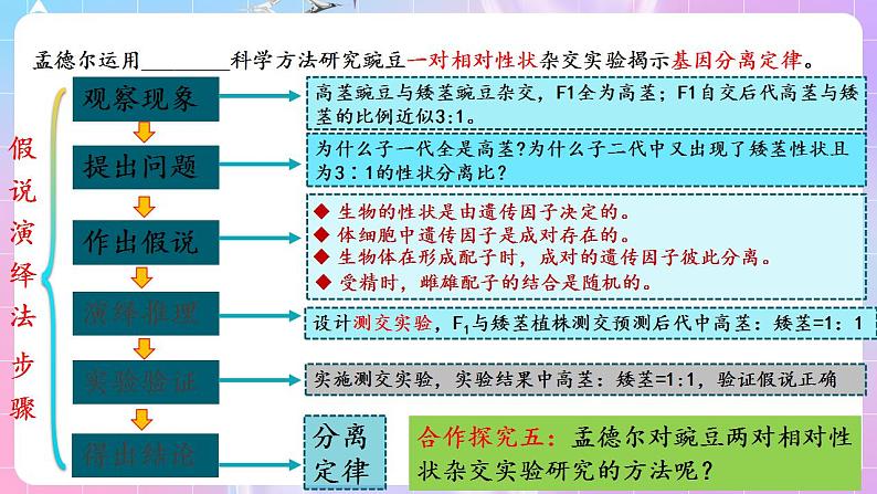 1.2《孟德尔的豌豆杂交实验（二）》（第1课时） 课件 人教版高中生物必修二第5页