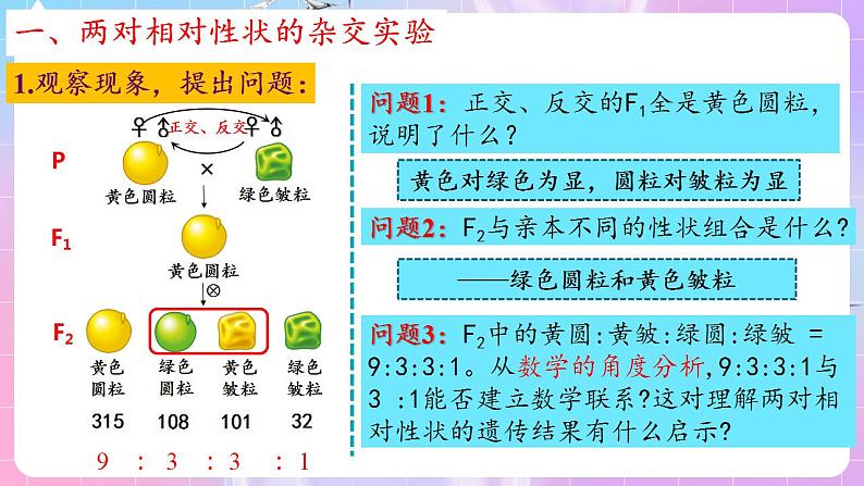 1.2《孟德尔的豌豆杂交实验（二）》（第1课时） 课件 人教版高中生物必修二第6页