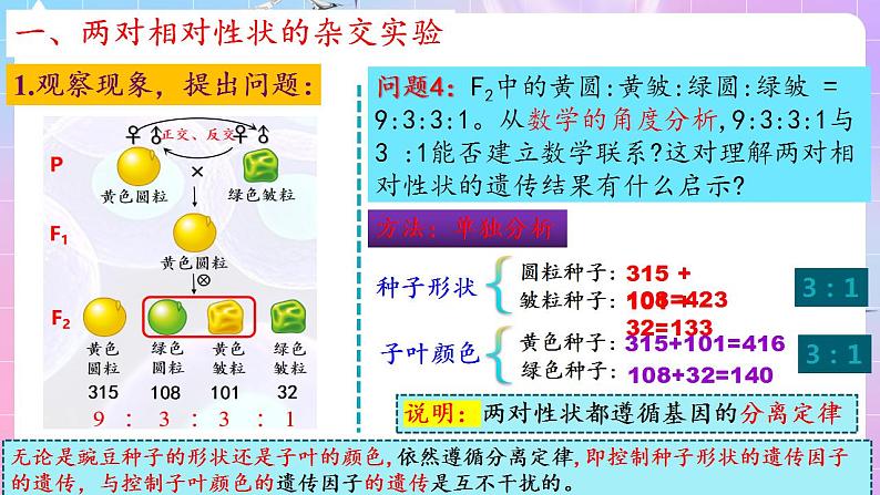 1.2《孟德尔的豌豆杂交实验（二）》（第1课时） 课件 人教版高中生物必修二第7页