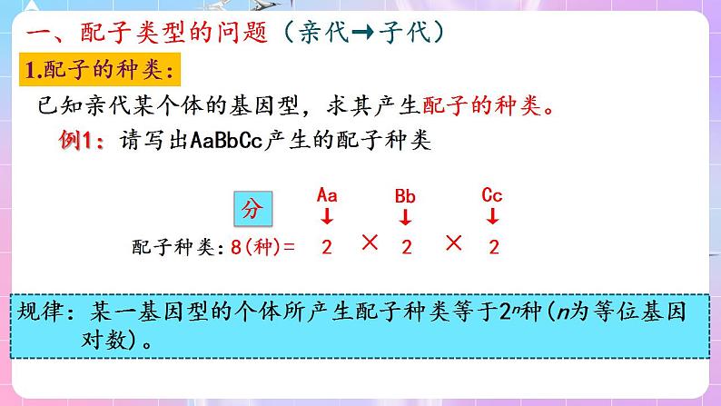 1.2《孟德尔的豌豆杂交实验（二）》（第3课时） 课件 人教版高中生物必修二05