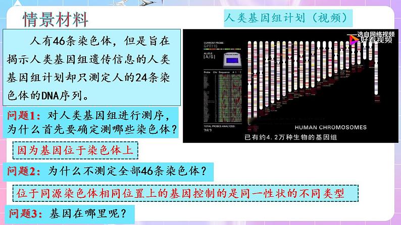 2.2《基因在染色体上》 课件 人教版高中生物必修二03