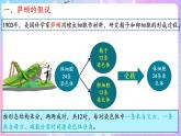 2.2《基因在染色体上》 课件 人教版高中生物必修二