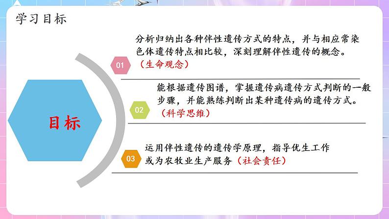 2.3《伴性遗传》（第1课时） 课件 人教版高中生物必修二第2页