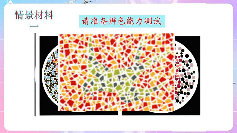 2.3《伴性遗传》（第1课时） 课件 人教版高中生物必修二第4页