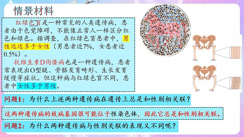 2.3《伴性遗传》（第1课时） 课件 人教版高中生物必修二第7页