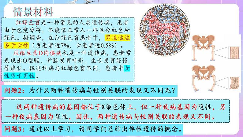 2.3《伴性遗传》（第1课时） 课件 人教版高中生物必修二第8页