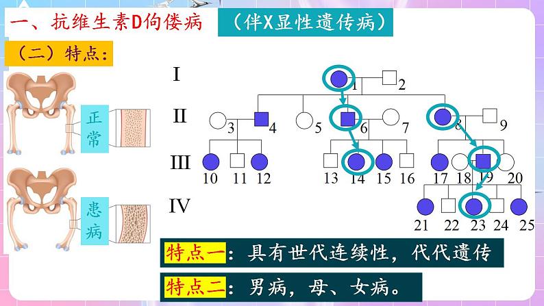 2.3《伴性遗传》（第2课时） 课件 人教版高中生物必修二第7页