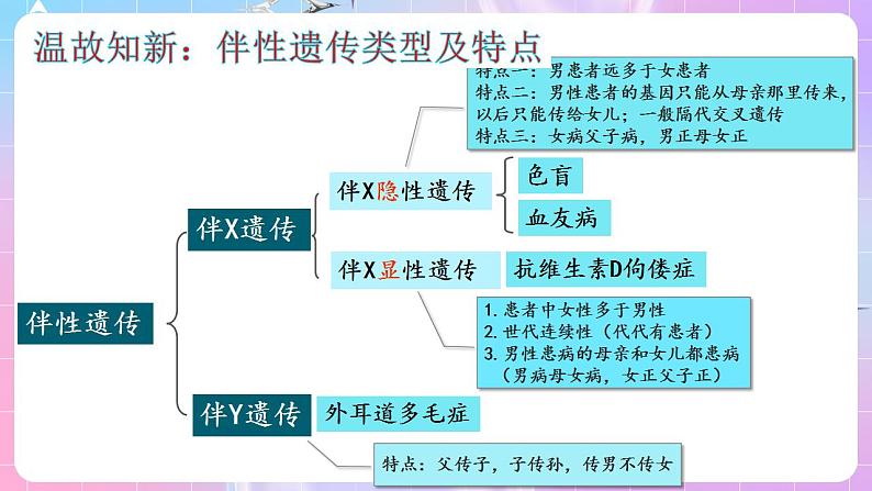 2.3《伴性遗传》（第3课时） 课件 人教版高中生物必修二03