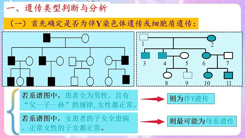 2.3《伴性遗传》（第3课时） 课件 人教版高中生物必修二05