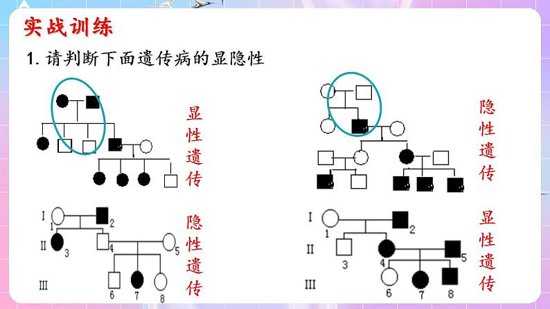 2.3《伴性遗传》（第3课时） 课件 人教版高中生物必修二07