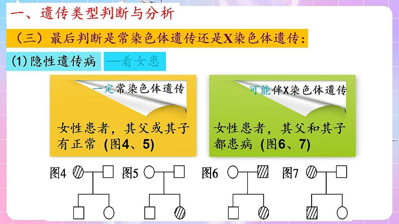 2.3《伴性遗传》（第3课时） 课件 人教版高中生物必修二08