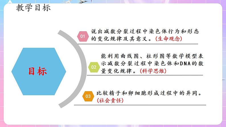 2.1《减数分裂和受精作用》（第1课时） 课件 人教版高中生物必修二02