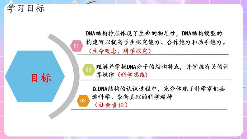 3.2《DNA的结构》（第2课时） 课件 人教版高中生物必修二02