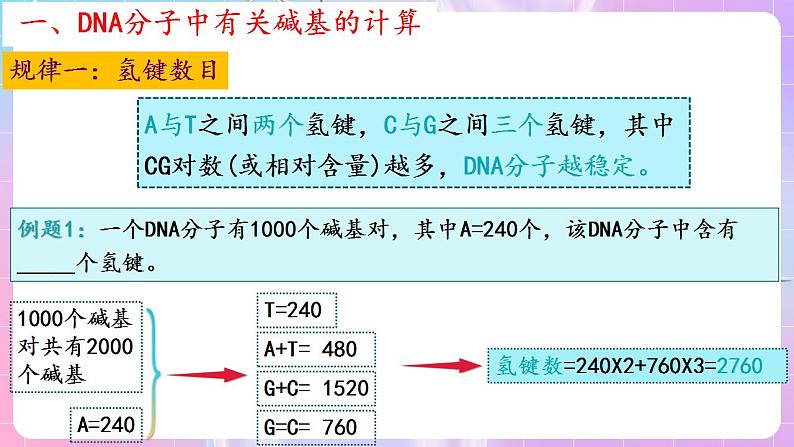 3.2《DNA的结构》（第2课时） 课件 人教版高中生物必修二07