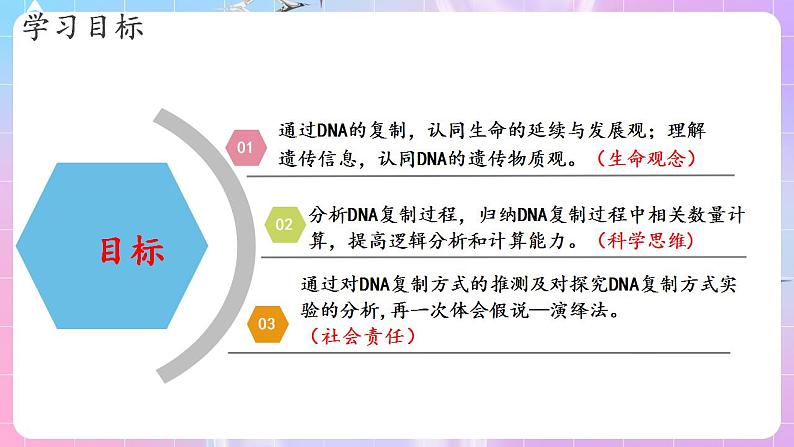 3.3《DNA的复制》（第1课时） 课件 人教版高中生物必修二02