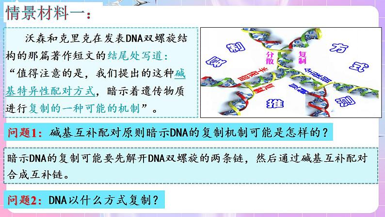 3.3《DNA的复制》（第1课时） 课件 人教版高中生物必修二05