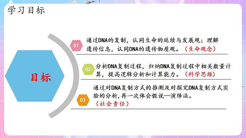 3.3《DNA的复制》（第2课时） 课件 人教版高中生物必修二第2页