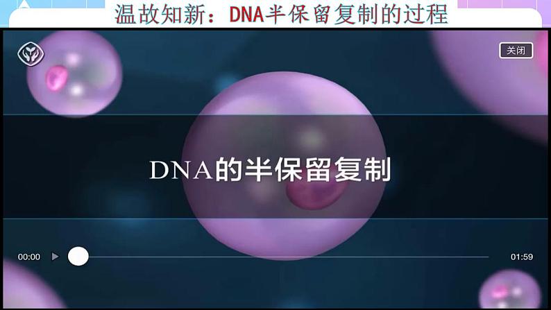 3.3《DNA的复制》（第2课时） 课件 人教版高中生物必修二第4页