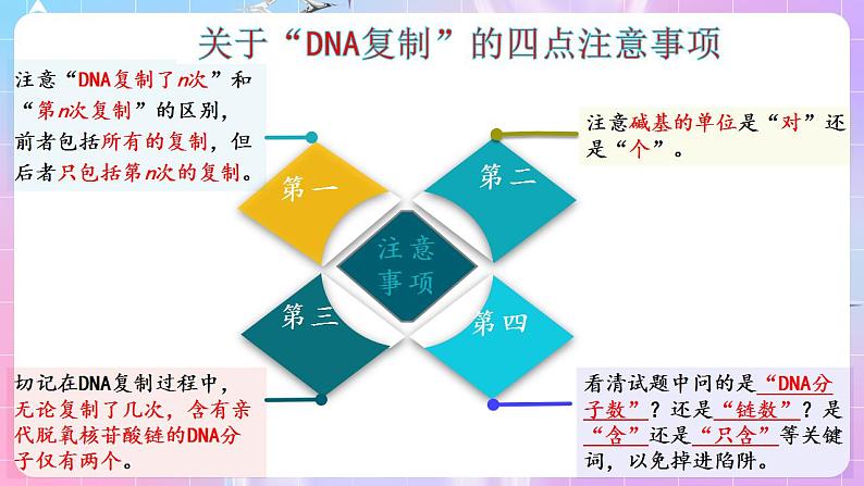 3.3《DNA的复制》（第2课时） 课件 人教版高中生物必修二第5页