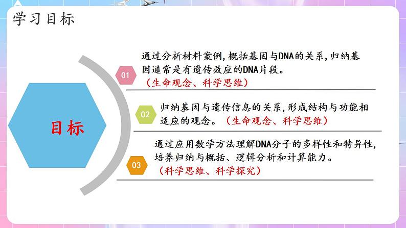 3.4《基因通常是有遗传效应的DNA片段》 课件 人教版高中生物必修二02