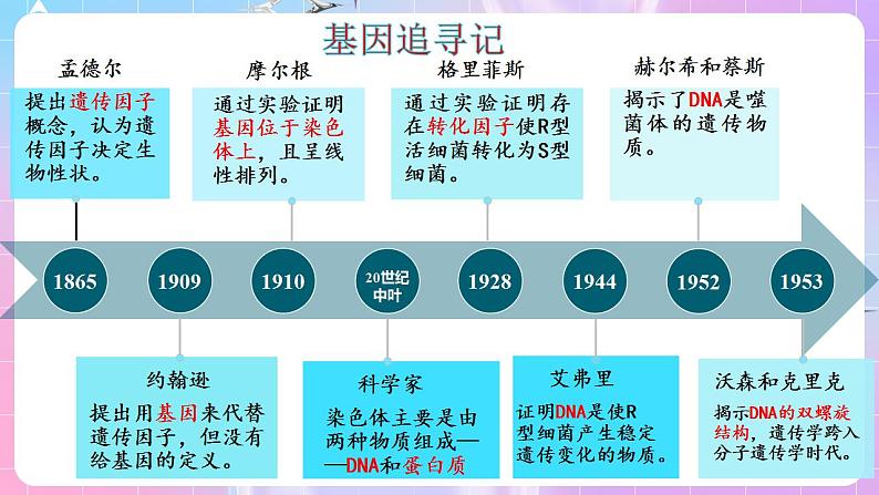 3.4《基因通常是有遗传效应的DNA片段》 课件 人教版高中生物必修二05