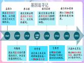 3.4《基因通常是有遗传效应的DNA片段》 课件 人教版高中生物必修二